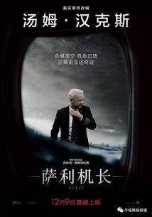 萨利机长,勇敢应对危机，化险为夷的传奇故事