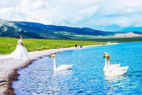 最美丽的夏天,最美丽的夏天掠影