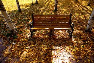 在长椅上 剧场版