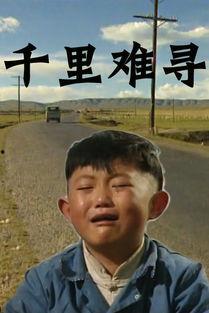 千里难寻,寻觅非凡——千里难寻的传奇之旅