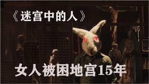 迷宫中的人,探寻自我成长的迷宫之旅