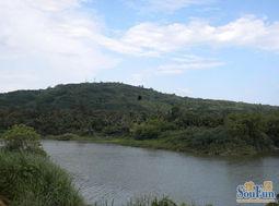 太阳河,自然奇观与生态宝库的璀璨明珠